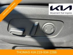 
 Kia Carnival full									