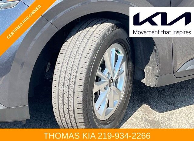
 Kia Carnival full									