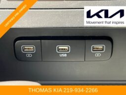 
 Kia Carnival full									