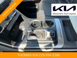 
 Kia Carnival full									