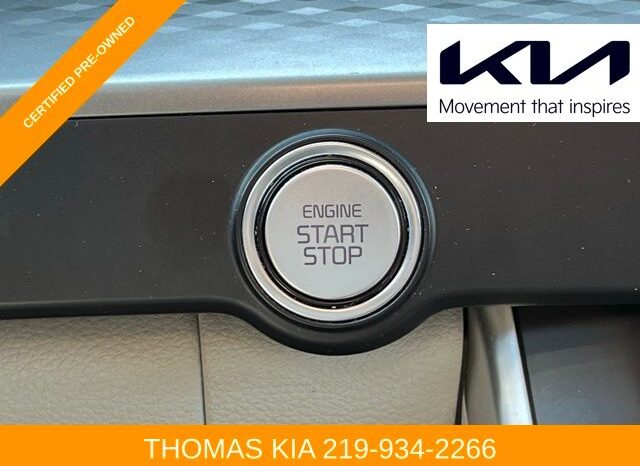 
 Kia Carnival full									