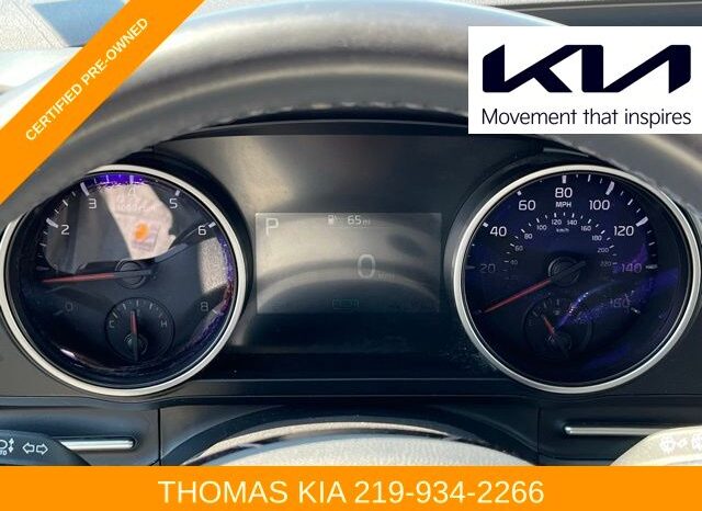 
 Kia Carnival full									