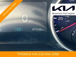 
 Kia Carnival full									