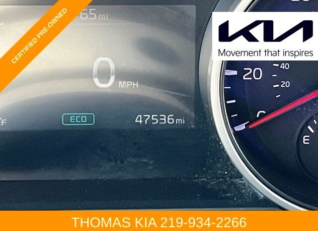 
 Kia Carnival full									
