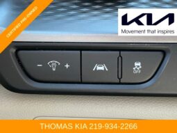 
 Kia Carnival full									