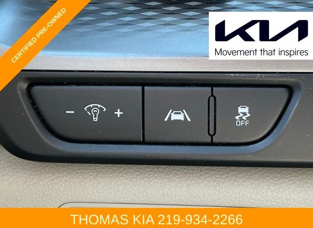 
 Kia Carnival full									