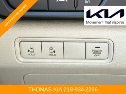 
 Kia Carnival full									