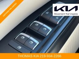 
 Kia Carnival full									