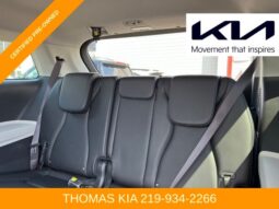 
 Kia Carnival full									