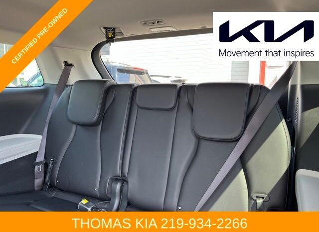
 Kia Carnival full									