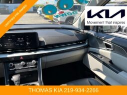 
 Kia Carnival full									