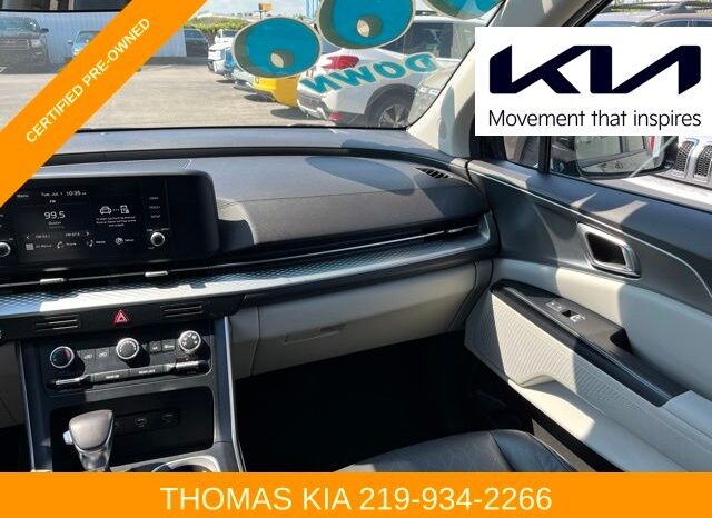 
 Kia Carnival full									