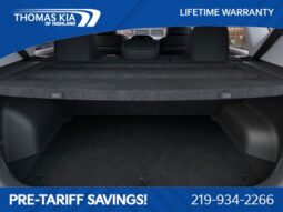 
 Kia Soul full									