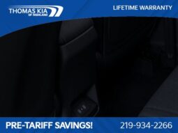 
 Kia Soul full									