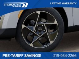 
 Kia Soul full									