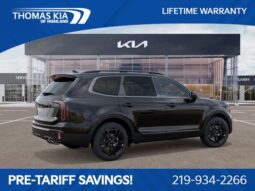 
 Kia Telluride full									