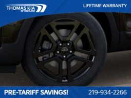 
 Kia Telluride full									