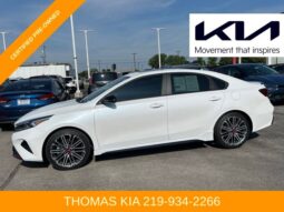 
 Kia Forte full									