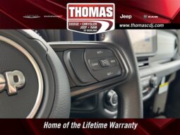 
 Jeep Wrangler full									