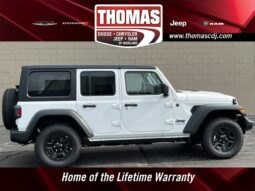 
 Jeep Wrangler full									