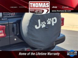 
 Jeep Wrangler full									