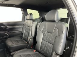 
										Kia Telluride full									