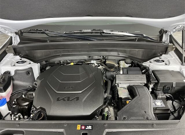 
								Kia Telluride full									
