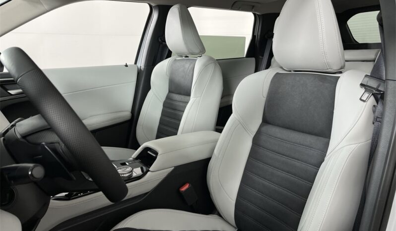
 Mitsubishi Outlander full									