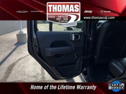 
 Jeep Wrangler full									