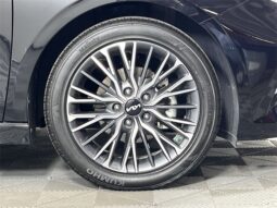 
 Kia Forte full									
