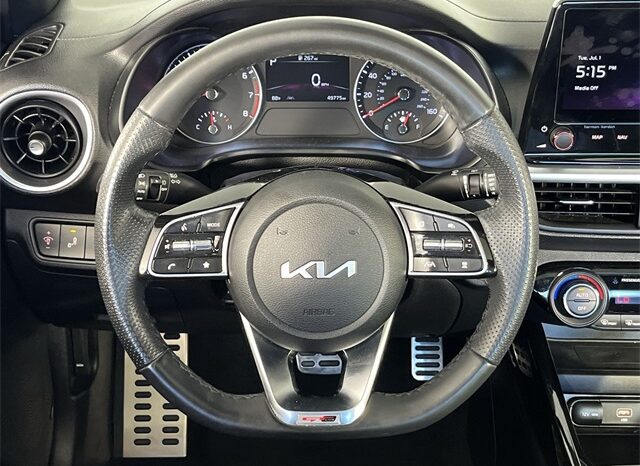 
 Kia Forte full									