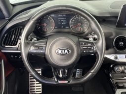 
										Kia Stinger full									