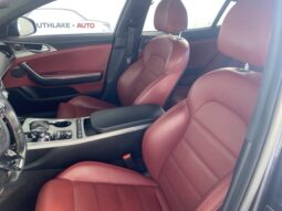 
 Kia Stinger full									
