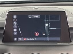 
										Kia Stinger full									