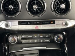 
										Kia Stinger full									