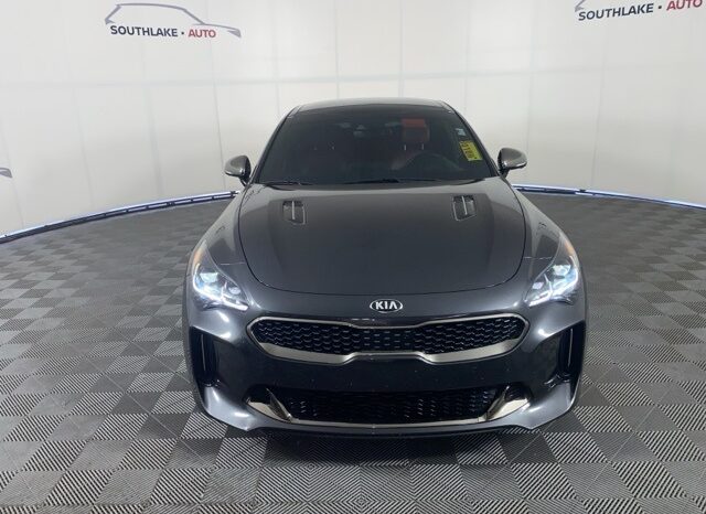 
 Kia Stinger full									