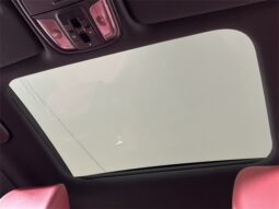 
										Kia Stinger full									