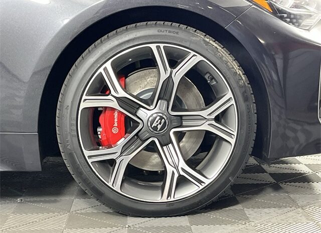 
								Kia Stinger full									