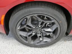 
 Dodge Charger Daytona full									