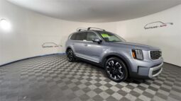 
 Kia Telluride full									