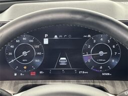
 Kia Telluride full									