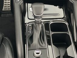 
 Kia Telluride full									