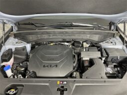 
 Kia Telluride full									
