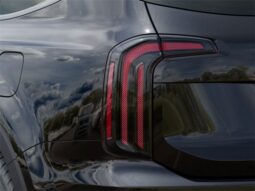 
 Kia Telluride full									
