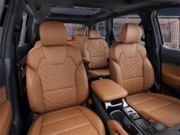 
 Kia Telluride full									