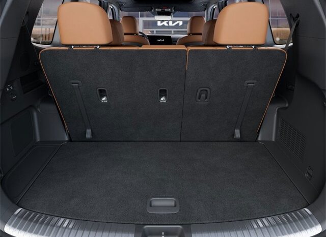 
 Kia Telluride full									