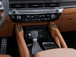 
 Kia Telluride full									