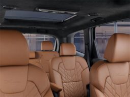 
 Kia Telluride full									