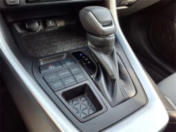 
 Toyota RAV4 full									