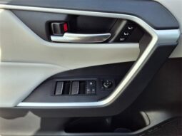 
 Toyota RAV4 full									